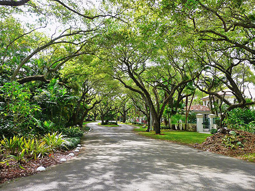 Coral Gables, FL - Neighborhood Tree Canopy
