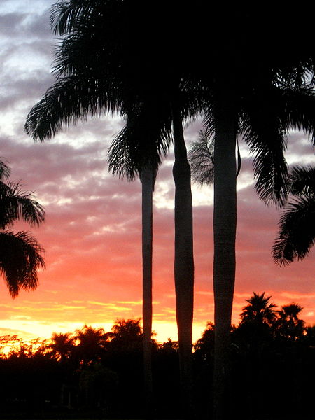 Weston, Florida - Sunset